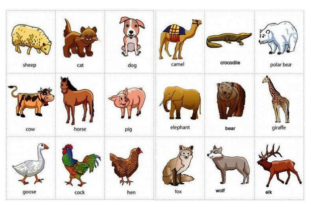 (A-Z) Daftar Nama Hewan Dalam Bahasa Inggris Lengkap Dengan Gambar, Contoh Kalimat Dan Arti